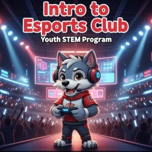 Learn about Esports